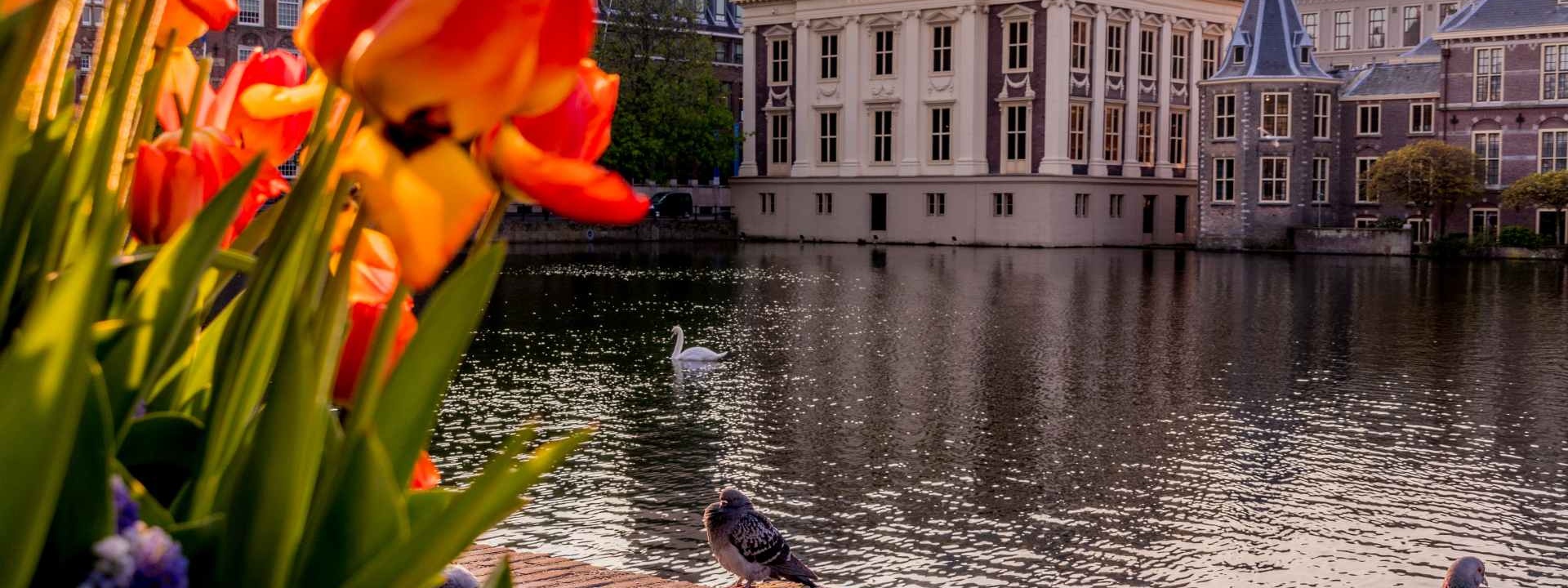Foto Rijksoverheid