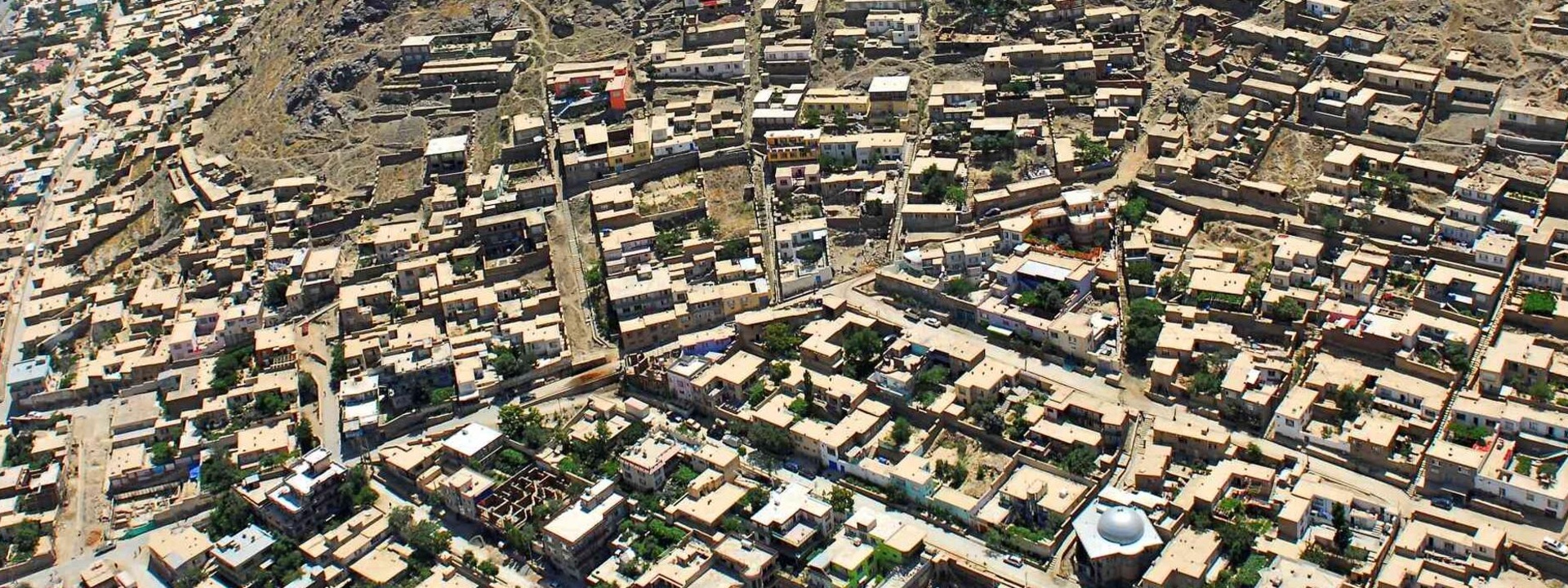 2020_kabul_pet_mva_78203.jpg