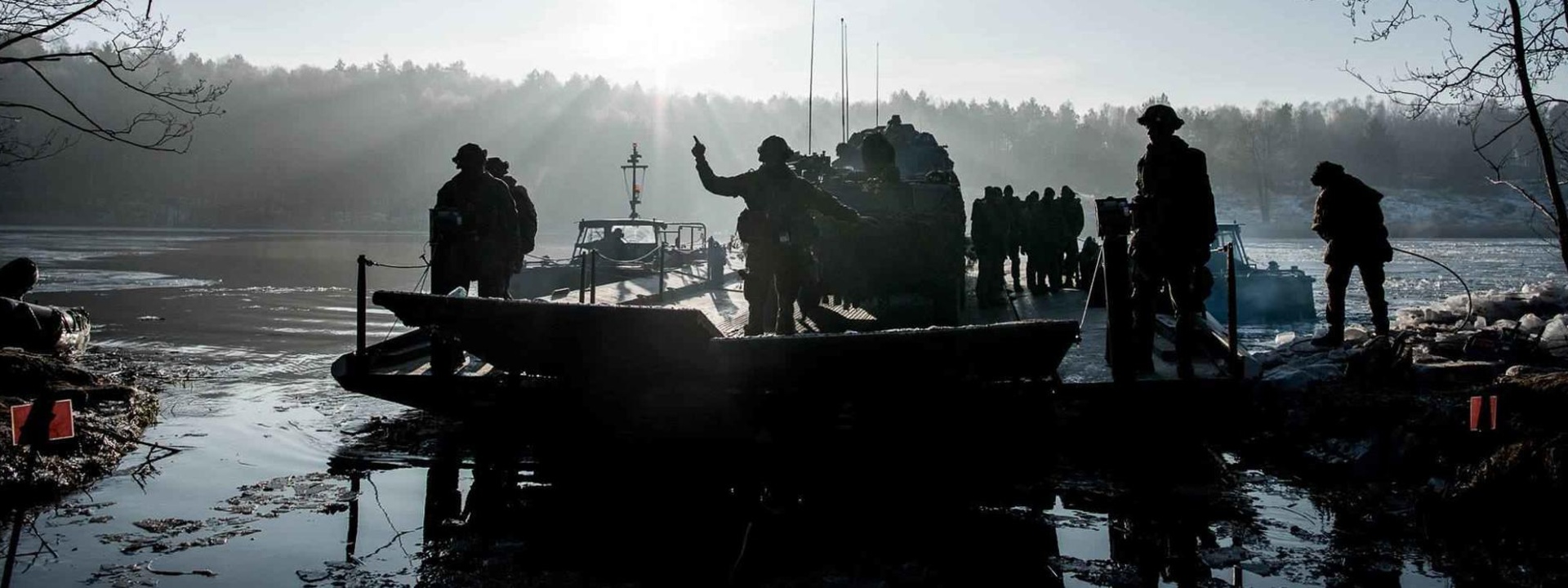 Bison Drawsko 2017.jpg
