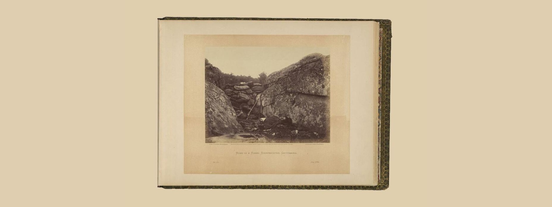 Van_Hout_hero_239486.jpg
