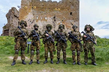Estonian Defence